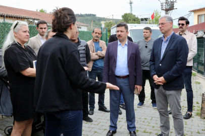 Mudanya'da sokak hayvanları için rehabilitasyon merkezi kuruluyor