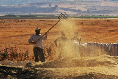 Tarım-ÜFE Nisan’da yıllık yüzde 60,77 arttı