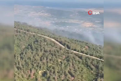 Çanakkale’de orman yangınına havadan müdahale sürüyor