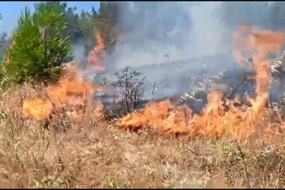 Anız yangını, ormana sıçramadan kontrol altına alındı