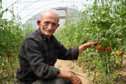 Ata tohumlarını korumak için dernek kurdu