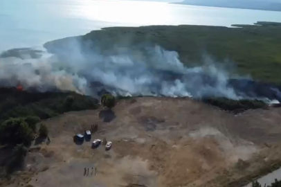 İznik Gölü'nde sazlık yangını