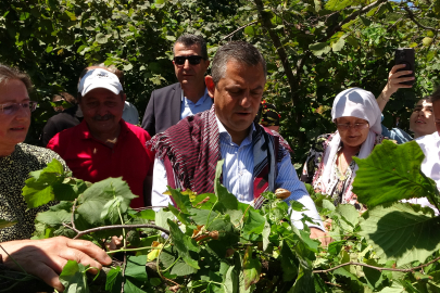 CHP Lideri Özel'den 'fındık fiyatı' eleştirisi: “Hızla revize edilmeli"