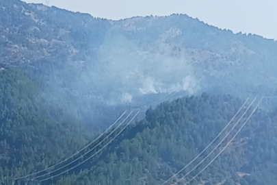 Orman yangınına müdahale eden helikopter düştü