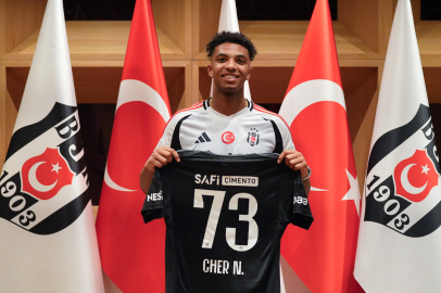 Cher Ndour, Beşiktaş'ta