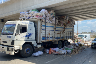 Tahta yüklü kamyon köprü altında sıkıştı