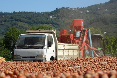 Yılda sadece 1,5 ay çalışıyorlar, saatte 3 bin 500 TL kazanıyorlar