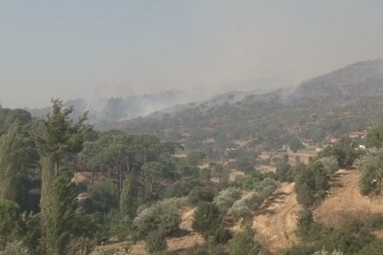 Bozdoğan'daki orman yangınında yanan alan görüntülendi