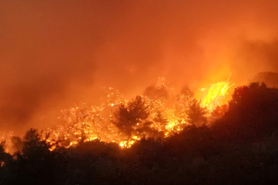 Manisa'daki orman yangını 80'inci saatinde