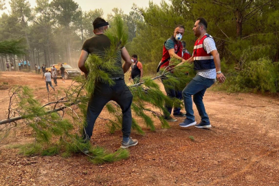 Muğla'daki yangınlar üreticiyi de vurdu