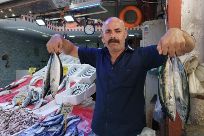 Karadeniz'de palamut bereketi: Tanesi 50 TL