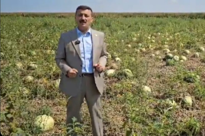 Selçuk Türkoğlu: Karpuz değil, dert tarlasından bildiriyorum