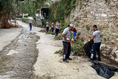 Temiz çevre için güç birliği