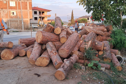 Virajı alamadı, tomruklar yola saçıldı