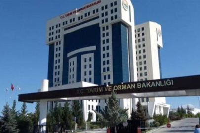 Bakanlık Bursa'da taklit, tağşiş ve hile yapan firmaları açıkladı