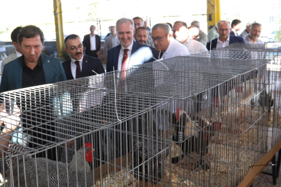 İnegöl’de Küçükbaş Hayvancılık festivali başladı