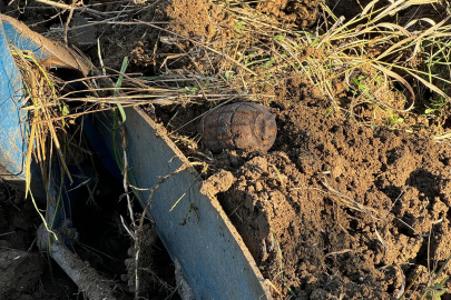 Tarla sürerken patlamamış el bombası buldu