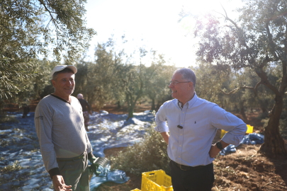 Mudanya Belediyesi zeytin üreticisinin yanında