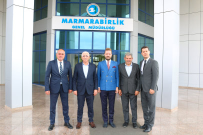 Büyükşehir ve Marmarabirlik'ten zeytin üreticisine destek