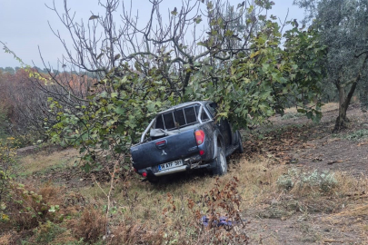 Kamyonet ağaca çarptı: Ölü ve yaralılar var