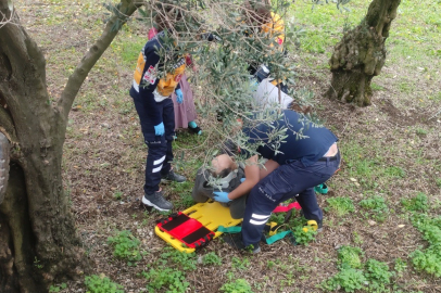 Traktör kontrolden çıkıp su kanalına çarptı