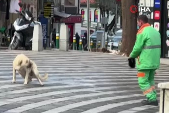 Bursa'da temizlik işçisinin sokak köpeği ile videosu izleyenlerin içini ısıttı.